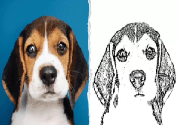 绘画桌_https://www.0355xx.com_系统工具_第5张