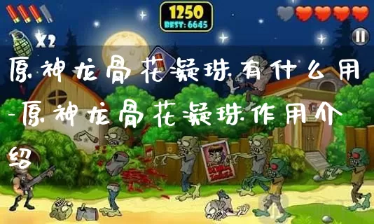原神龙骨花凝珠有什么用-原神龙骨花凝珠作用介绍_https://www.0355xx.com_游戏攻略_第1张